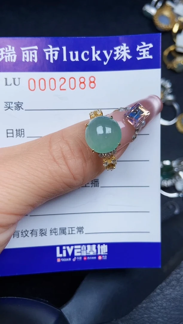 翡翠银S925镶嵌颈饰2088