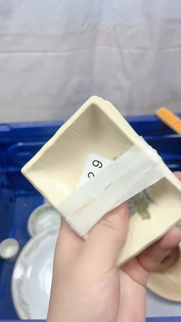 淡***姨029回流瓷器，默认微瑕