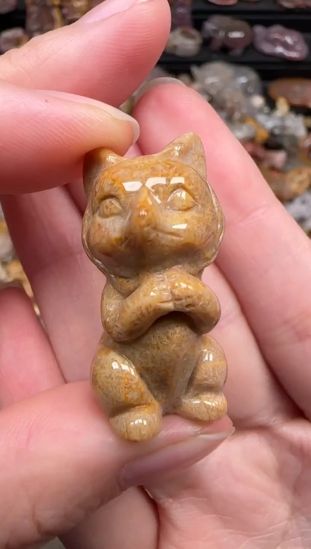 颈饰未镶嵌硅化珊瑚（珊瑚玉）271