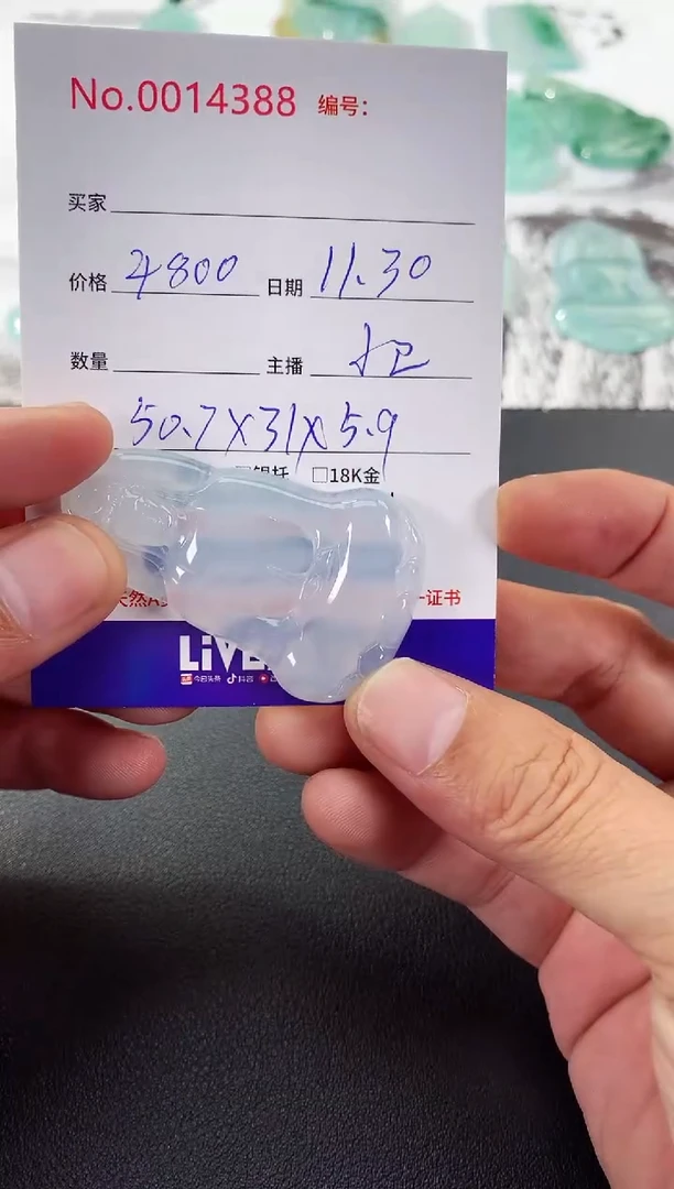 颈饰未镶嵌翡翠素衣