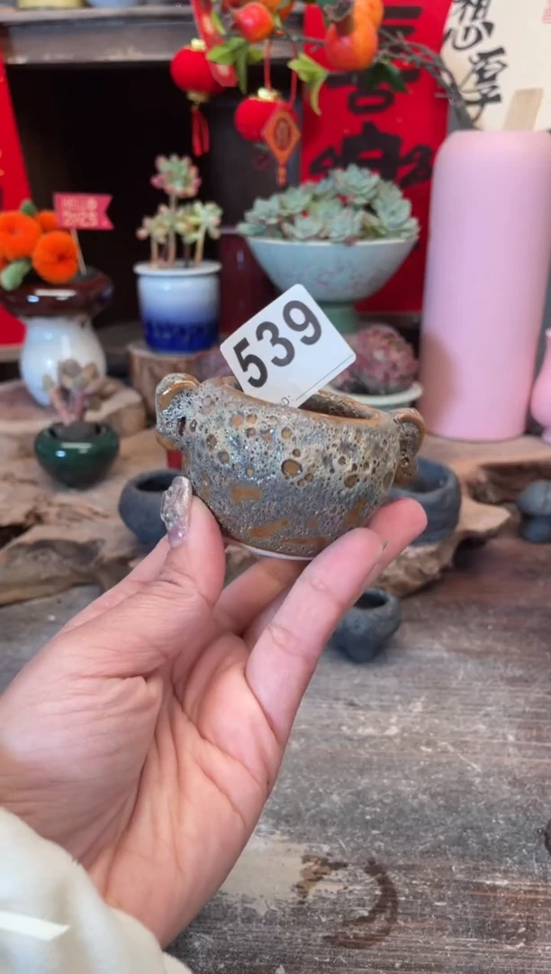 【闪购商品】摆件539知木小芳花盆