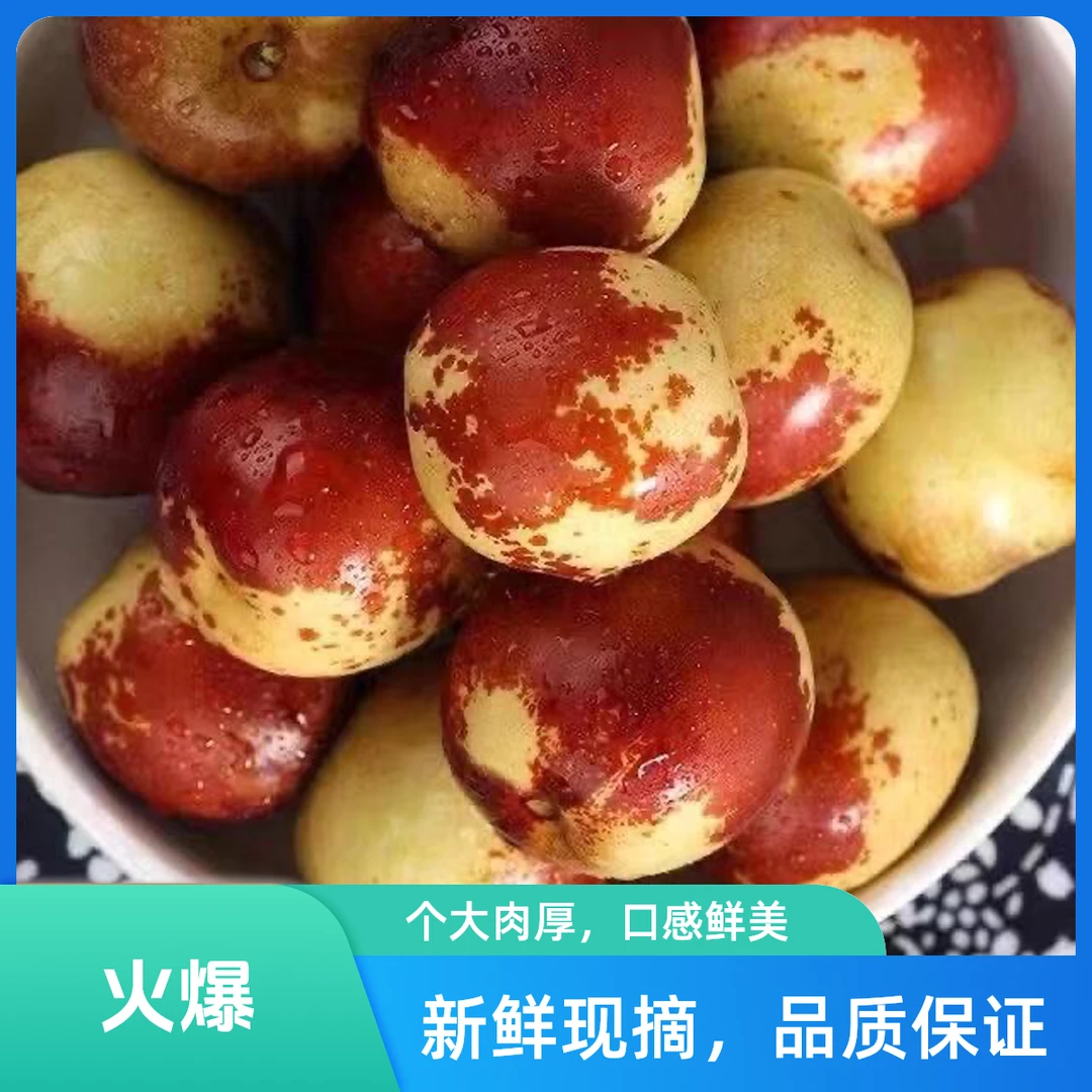 【黄骅冬枣】孔店村发货酥脆甜现摘现发0农残孕妇可吃顺丰包邮10.15冬枣枣黄骅冬枣河北省