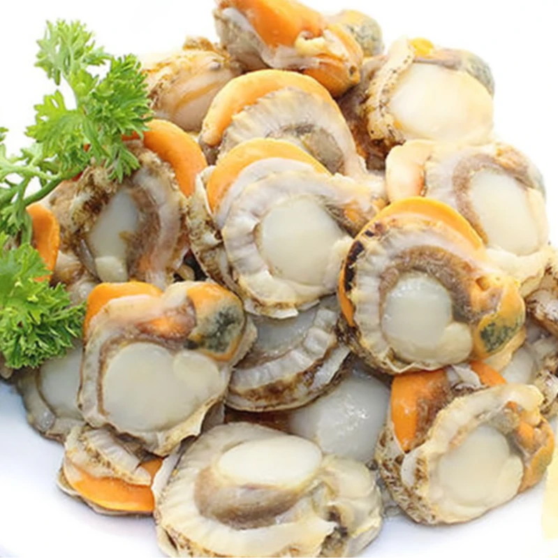 【中大号5斤】新鲜扇贝肉 无泥无沙 山东渤海湾 港湾贝