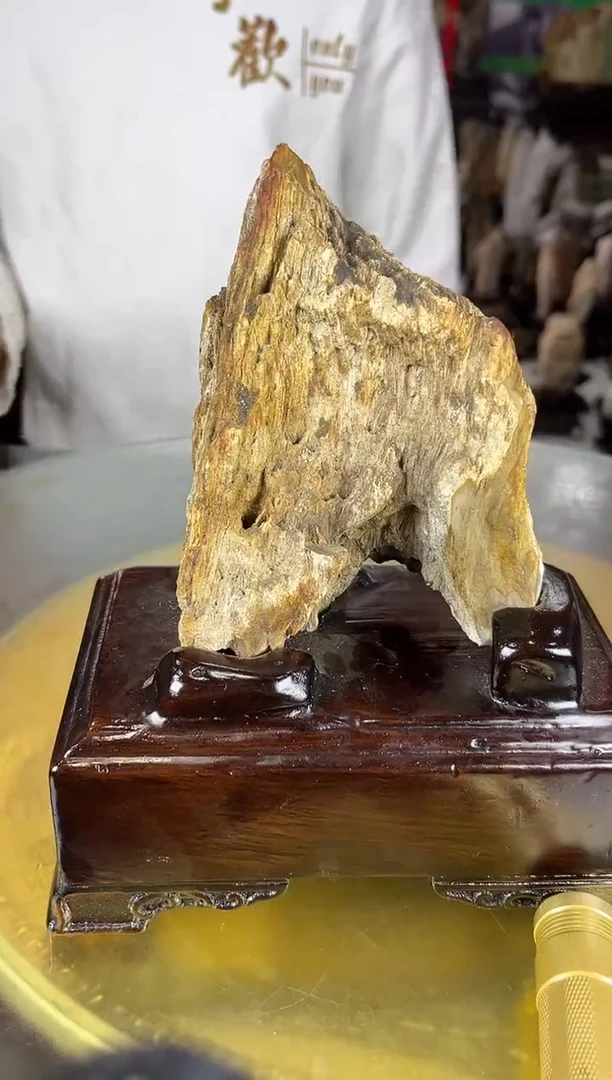 缅甸天然树化玉精品摆件