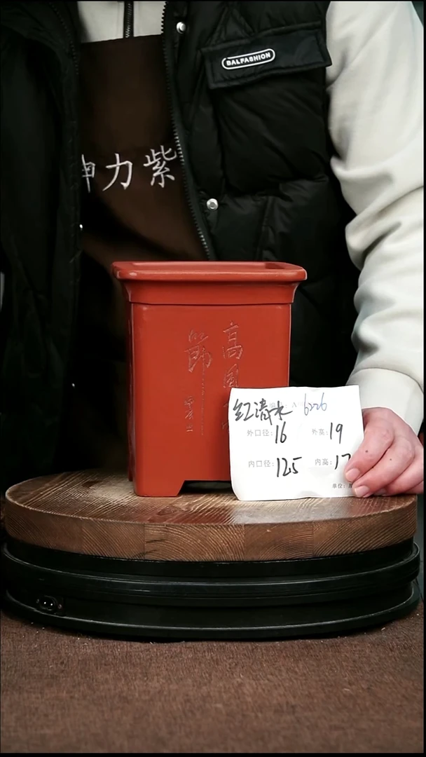 紫砂花盆花卉园艺6226