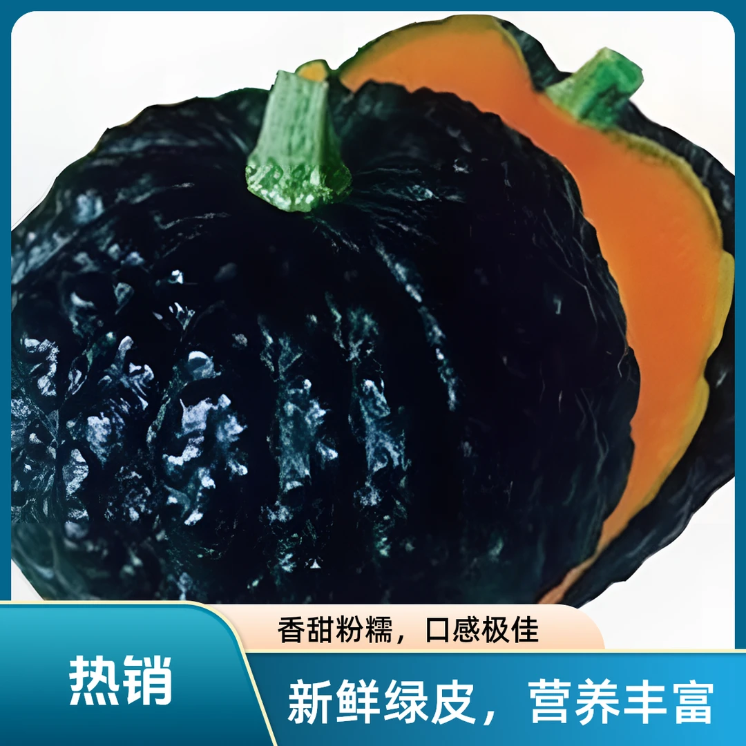 日本南瓜种子蔓生黑皮