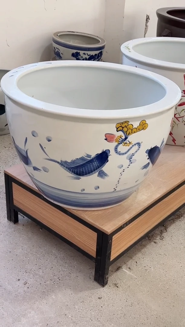 缸70直径青花鱼.........