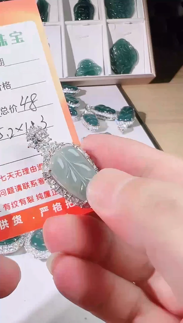 颈饰未镶嵌翡翠天然A货翡翠挂件