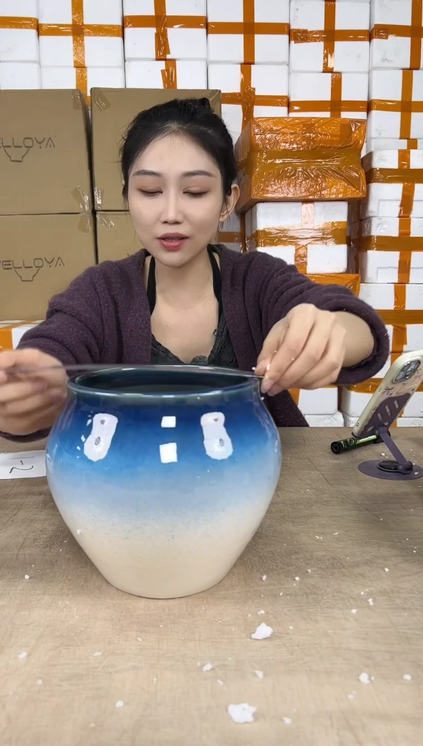 花盆花盆中号01.01--2