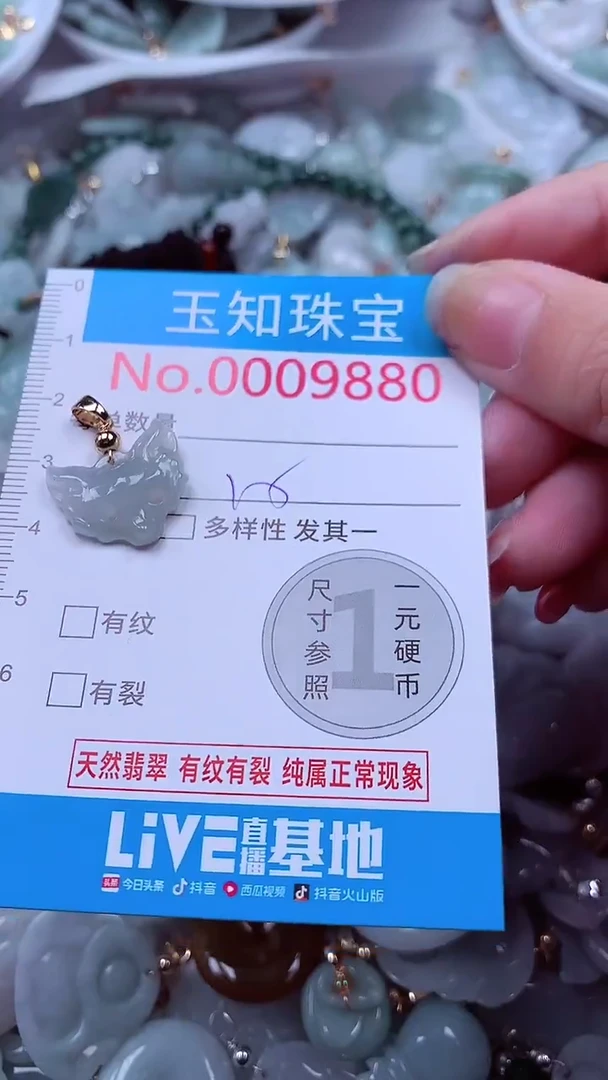 吊坠(不含链)未镶嵌翡翠9880