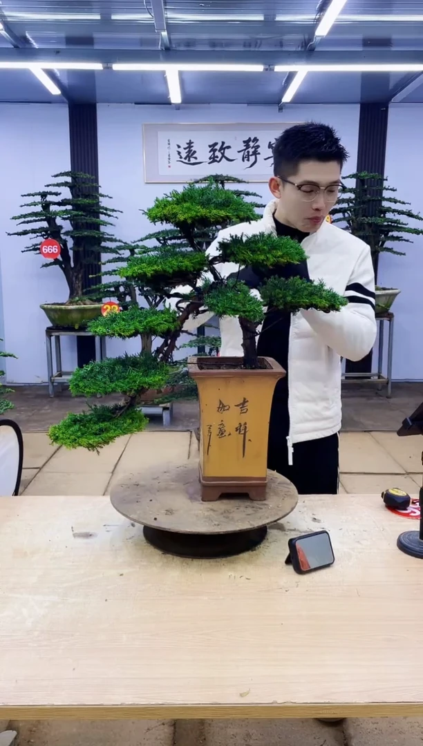 无花朵翎*0000000000000000000