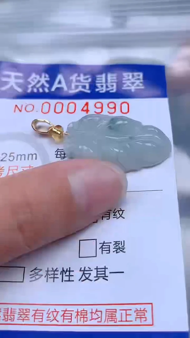 翡翠未镶嵌吊坠(不含链)1