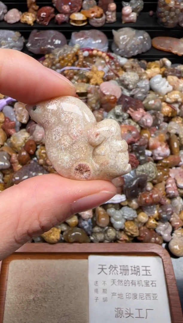 硅化珊瑚（珊瑚玉）未镶嵌颈饰210