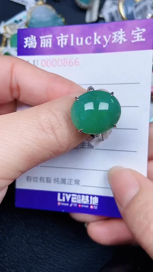 颈饰银S925镶嵌翡翠0866