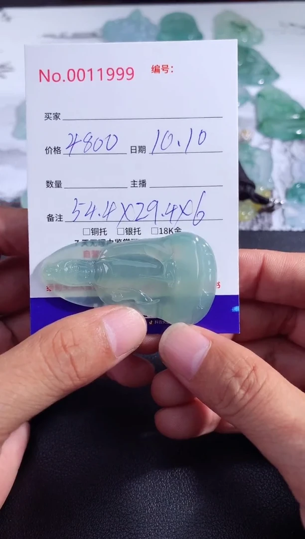 颈饰未镶嵌翡翠素衣