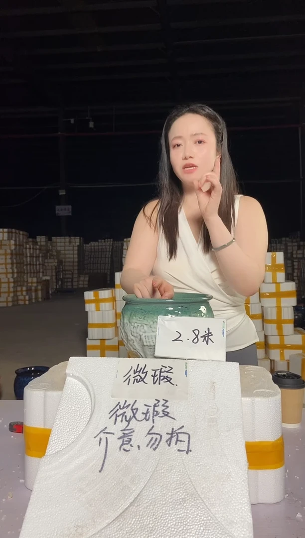 宜兴紫砂粗陶花盆20/16