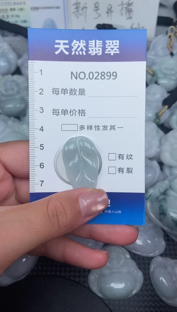 颈饰未镶嵌翡翠纯天然A货翡翠2899
