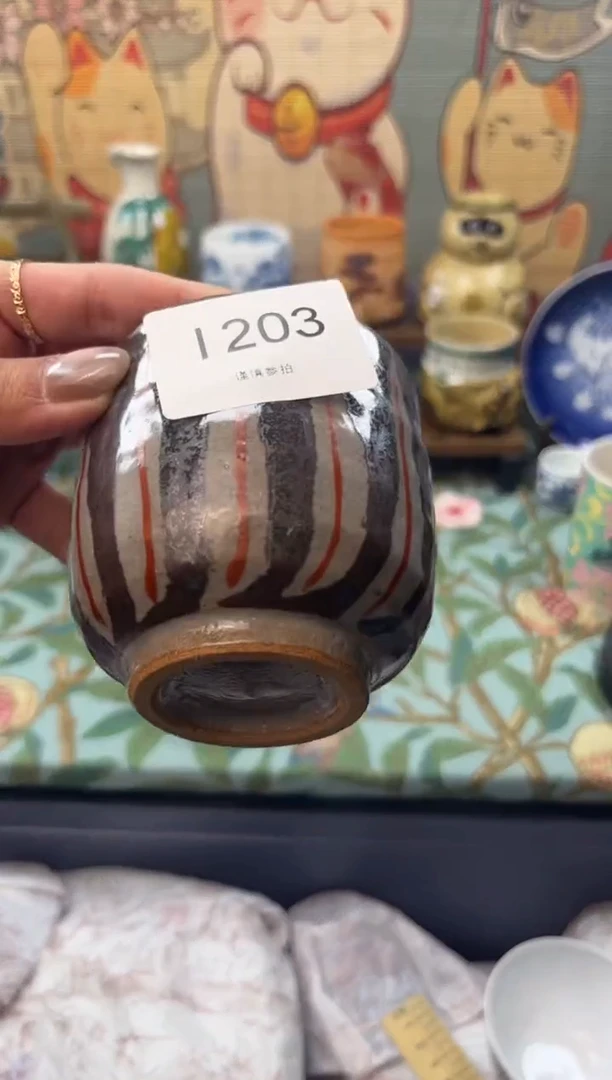 瓷片蘭*     I203