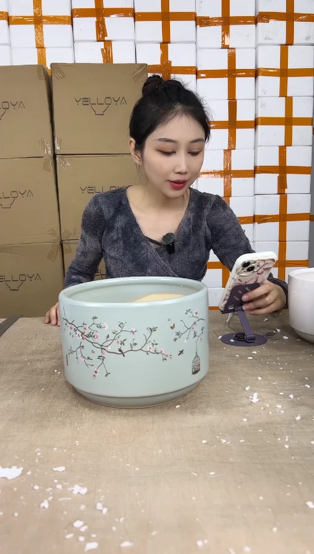 蝴蝶兰鸟笼蓝色中号21x15