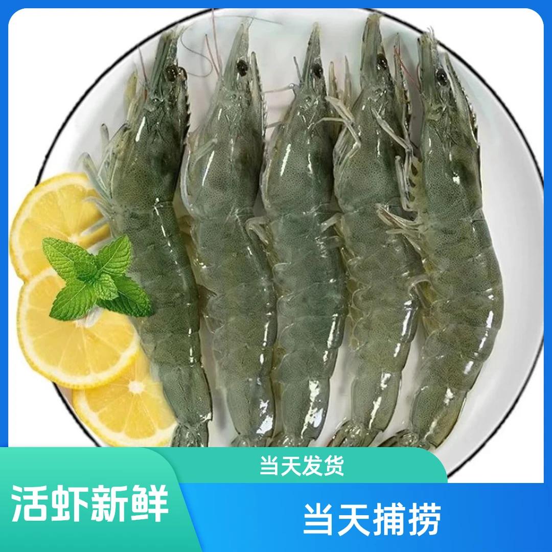 （晋城市区一小时到家）充氧活发 基围虾一斤装