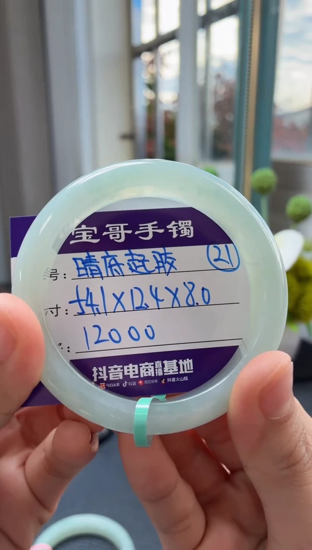 未镶嵌手镯翡翠翡翠手镯21号