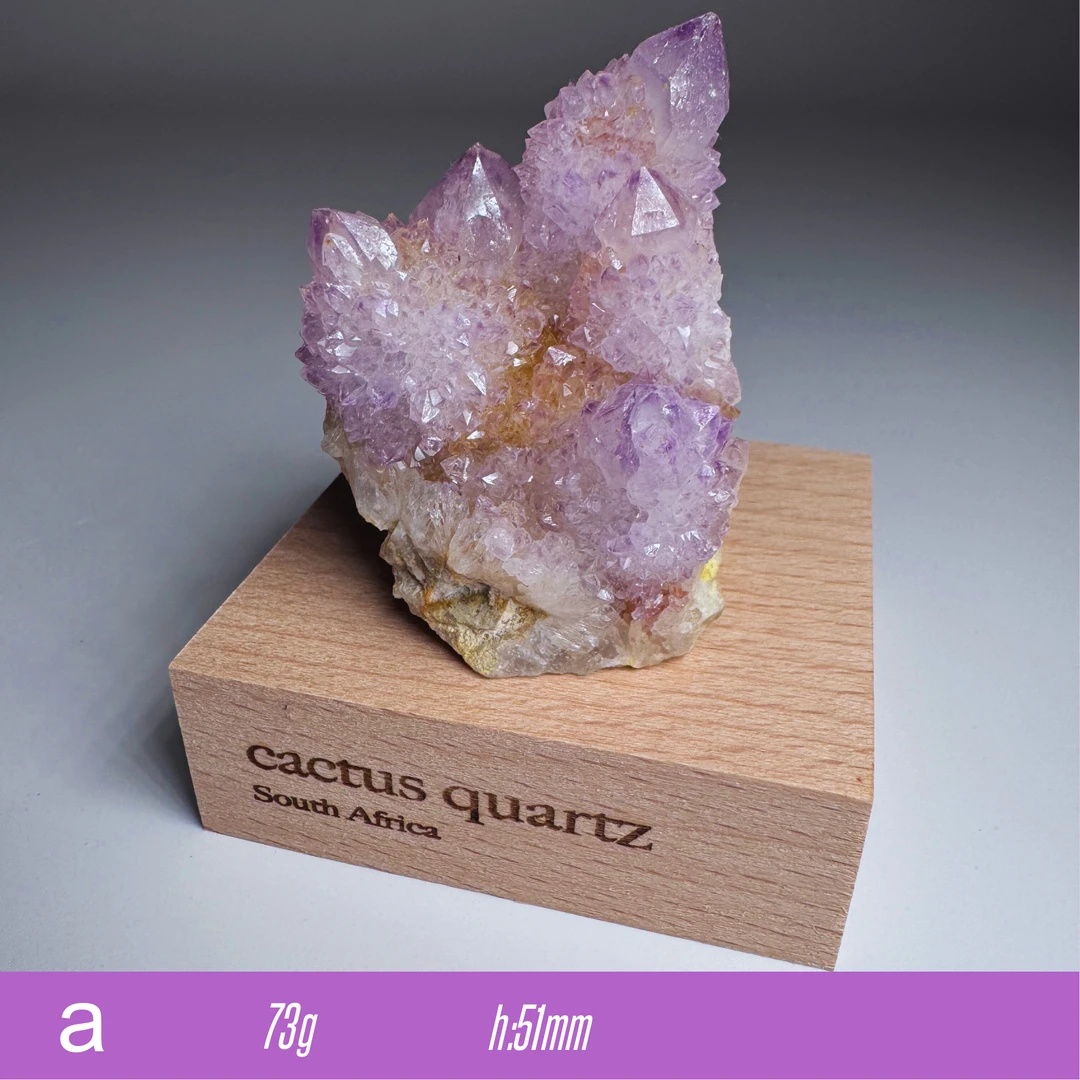 *福利【水晶/仙人掌状/南非】矿物标本矿物晶体摆设收藏