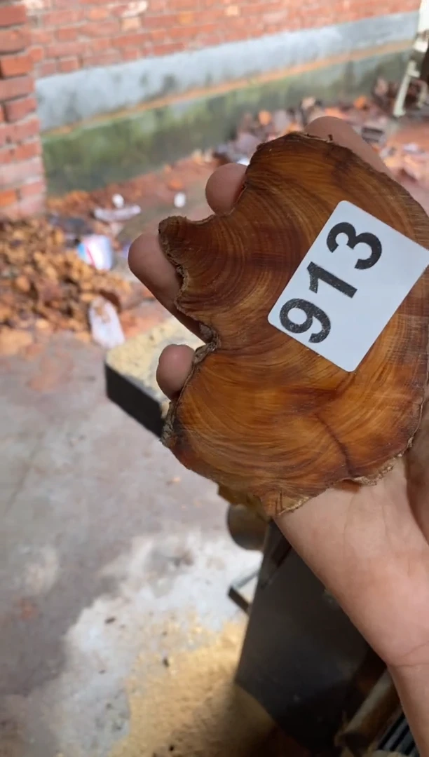 柏木（崖柏）太行山陈化崖柏一片