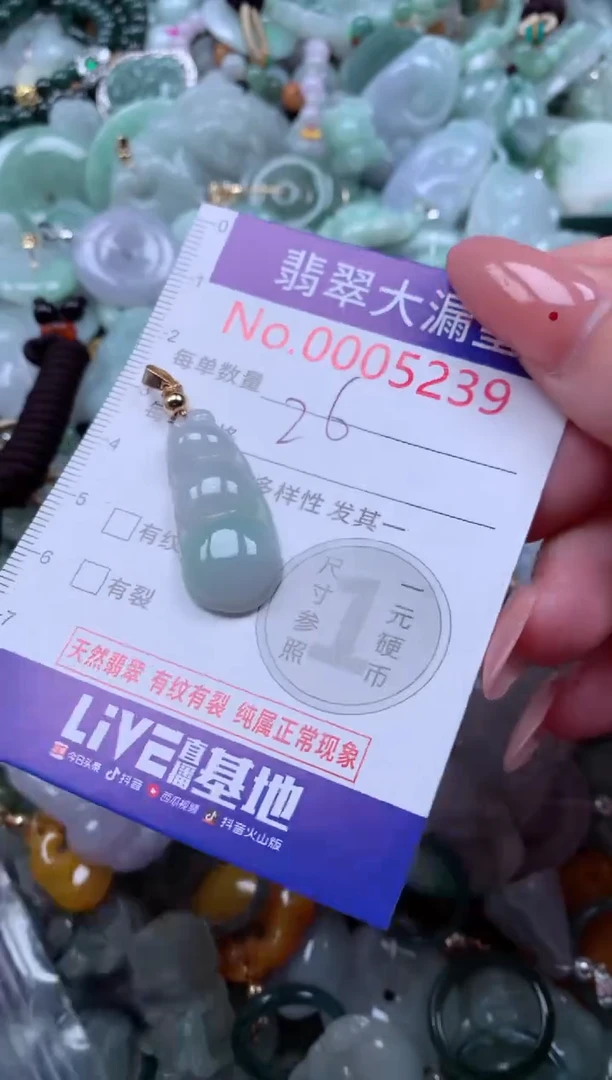 翡翠未镶嵌吊坠(不含链)5239