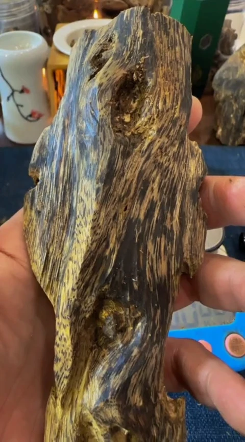 【闪购商品】沉香摆件海南紫棋虫漏块料63克