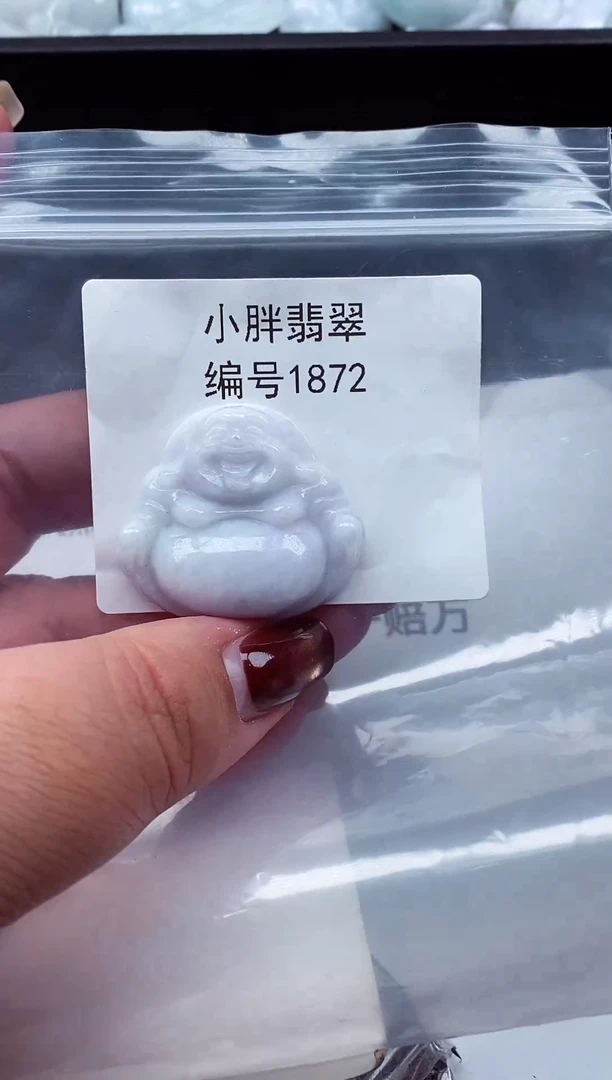 颈饰未镶嵌翡翠缅甸天然A货翡翠1872