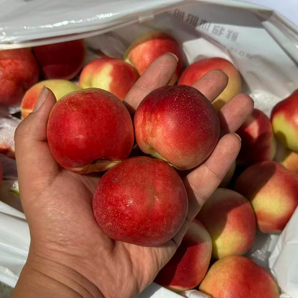 新疆枣蜜桃约3斤左右新疆维吾尔自治区