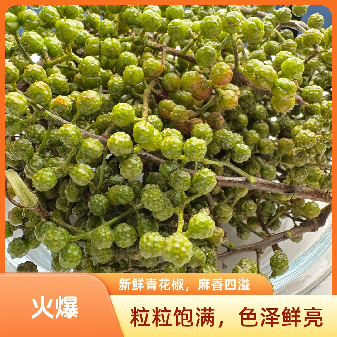 新鲜青花椒贵州特产浓香生麻椒烹饪用保鲜花椒