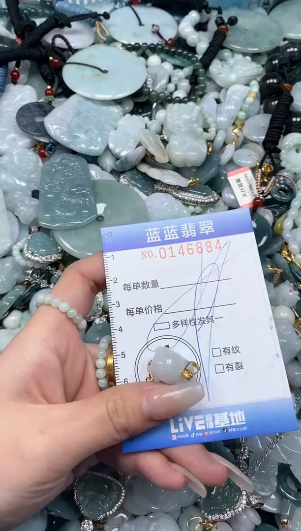 【闪购商品】翡翠颈饰未镶嵌闪购0146884多样性发其一