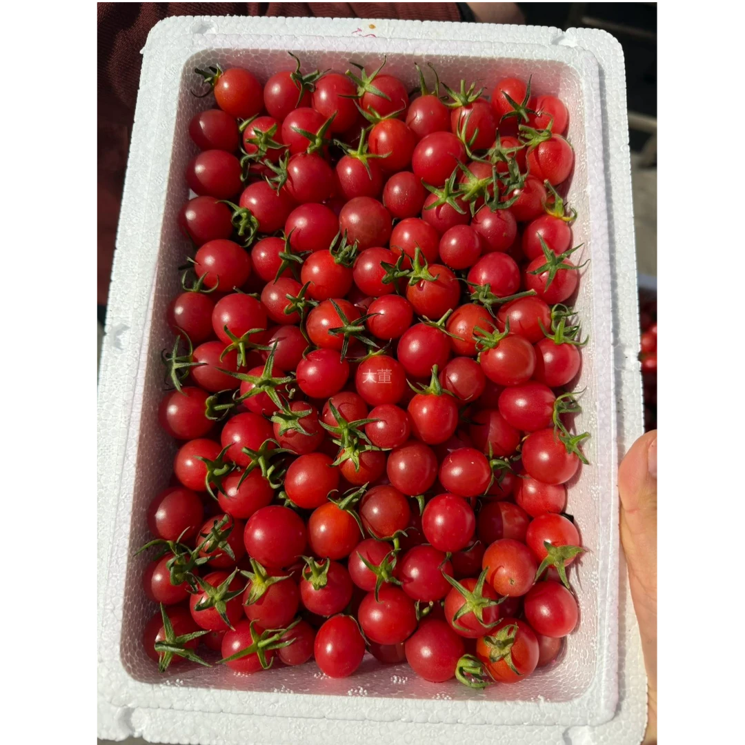 顺丰【大-董】广东电白千禧 2盒/份（毛重5斤左右）