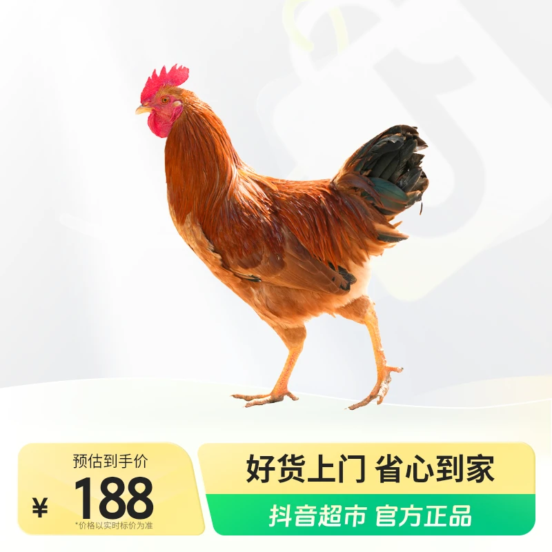 杨博士【食安放心】杨博士皖南土鸡深山散养现抓现杀新鲜高蛋白3只