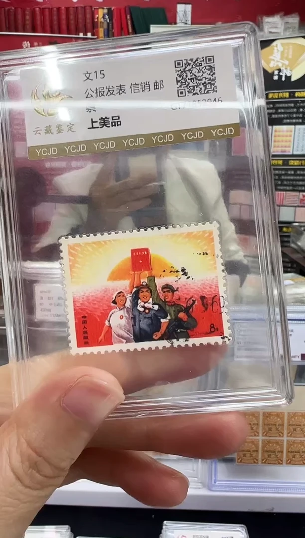 文15 公报信销闪购