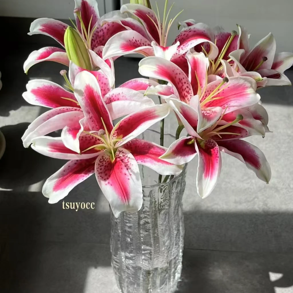 国王百合三头5支  两单包邮