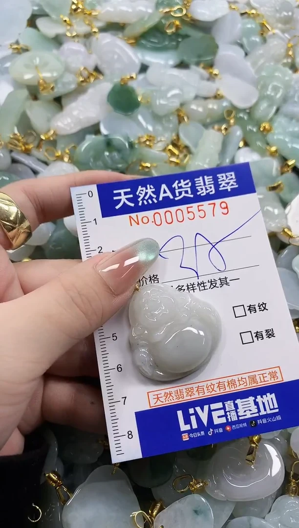 颈饰未镶嵌翡翠天然A货翡翠