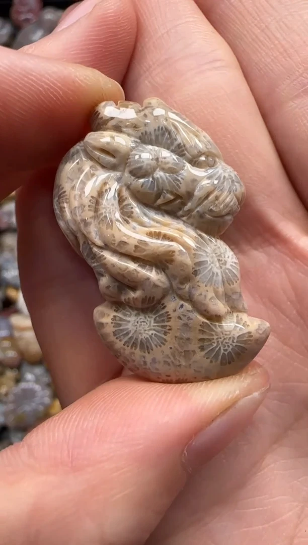 【闪购商品】硅化珊瑚（珊瑚玉）颈饰未镶嵌862