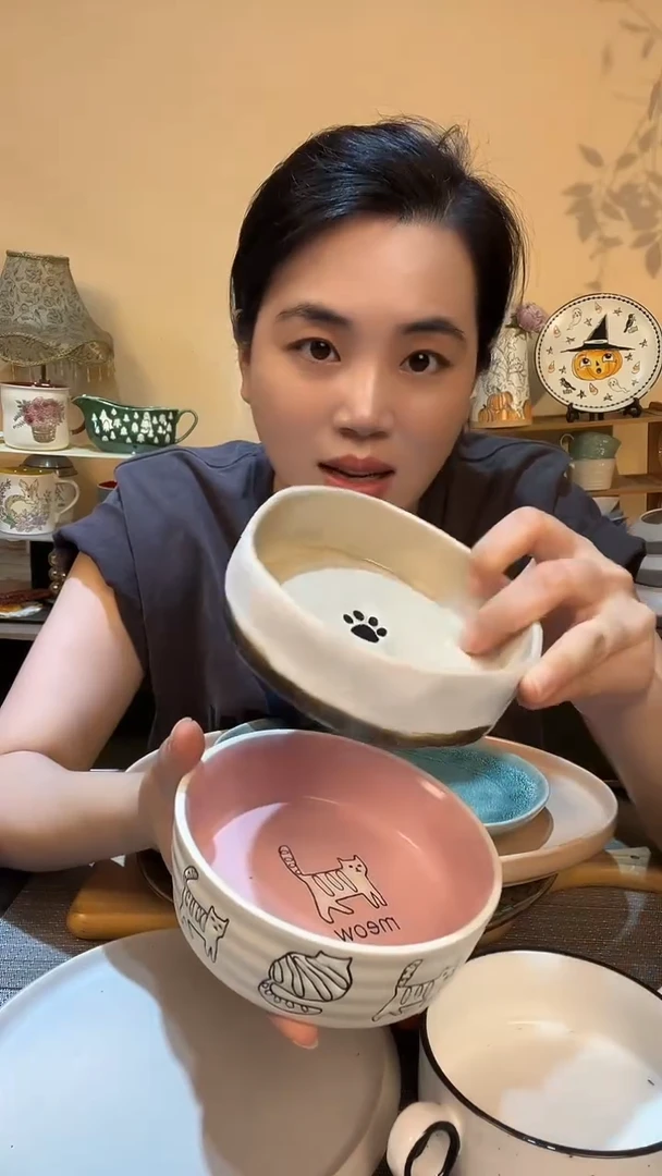瓷片瑕疵款 2个猫碗 介意勿拍