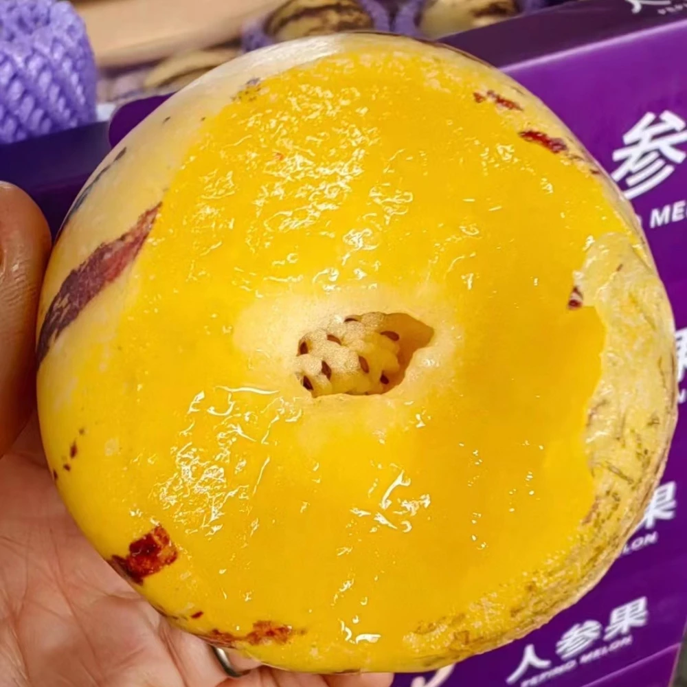 【清香清甜】云南石林树上熟人参果中果约1000g