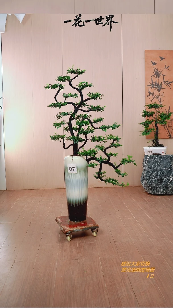 无花朵旺*【闪购链接】07号链接