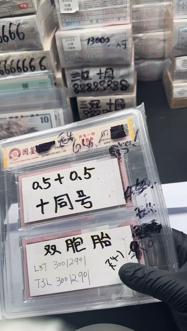 .5两刀同号300开头 带4