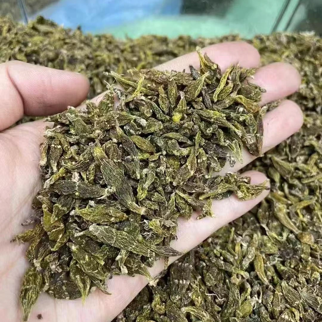 【玉姐精选】缅（蜔）纯嘢红株虫 虫斛mm葡萄干