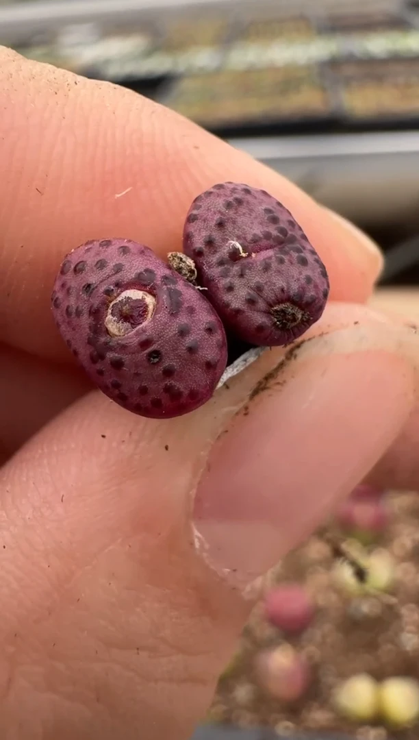 【闪购商品】6--22