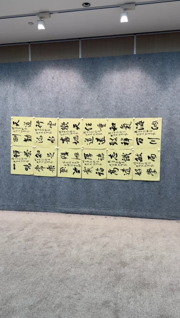 【闪购商品】书法sf不二轩书法作品zhm13