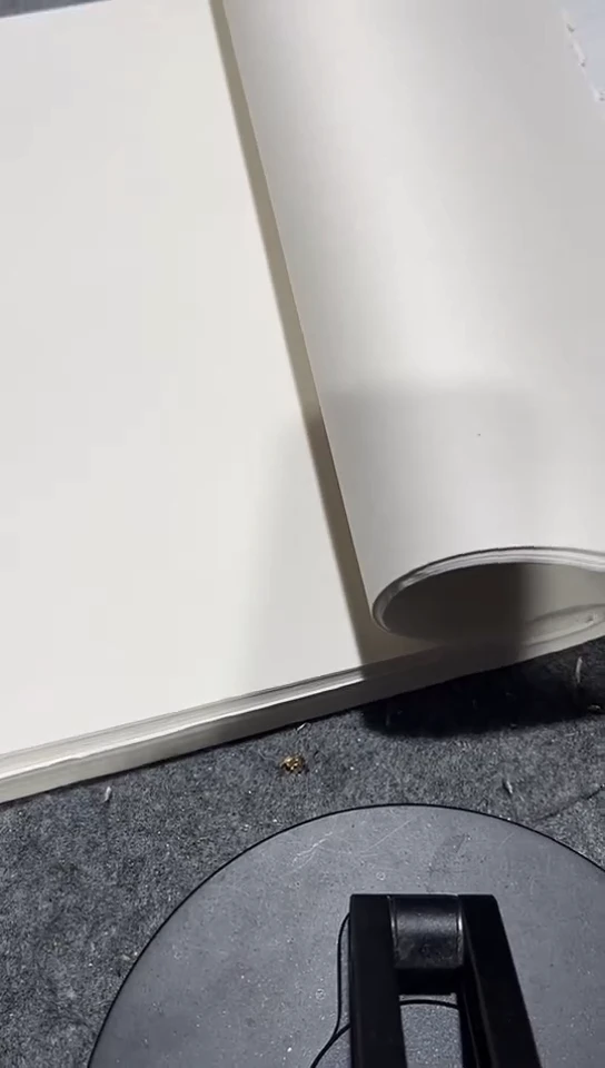 老纸生宣3斤装散纸