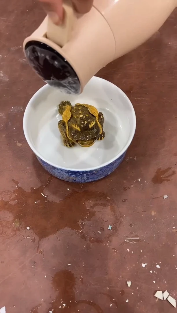 其他@@@@@@@@@@@无礼盒