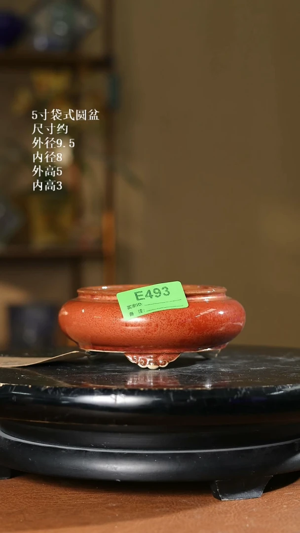 5寸袋式圆盆 493