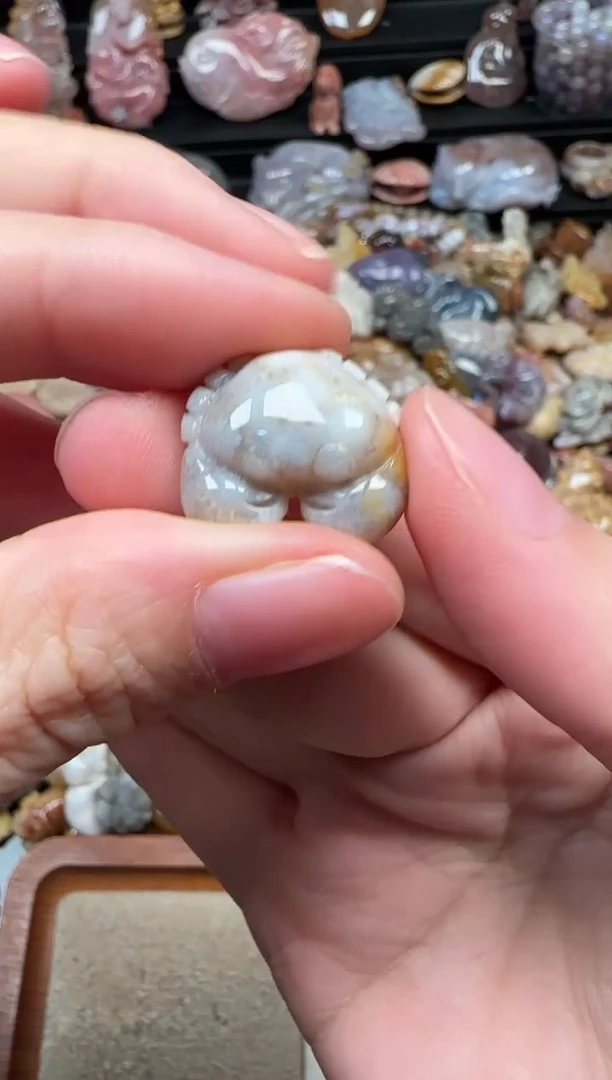 颈饰未镶嵌硅化珊瑚（珊瑚玉）782